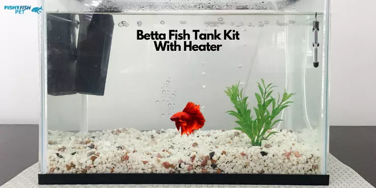 Betta Fish Tank Kit with Heater