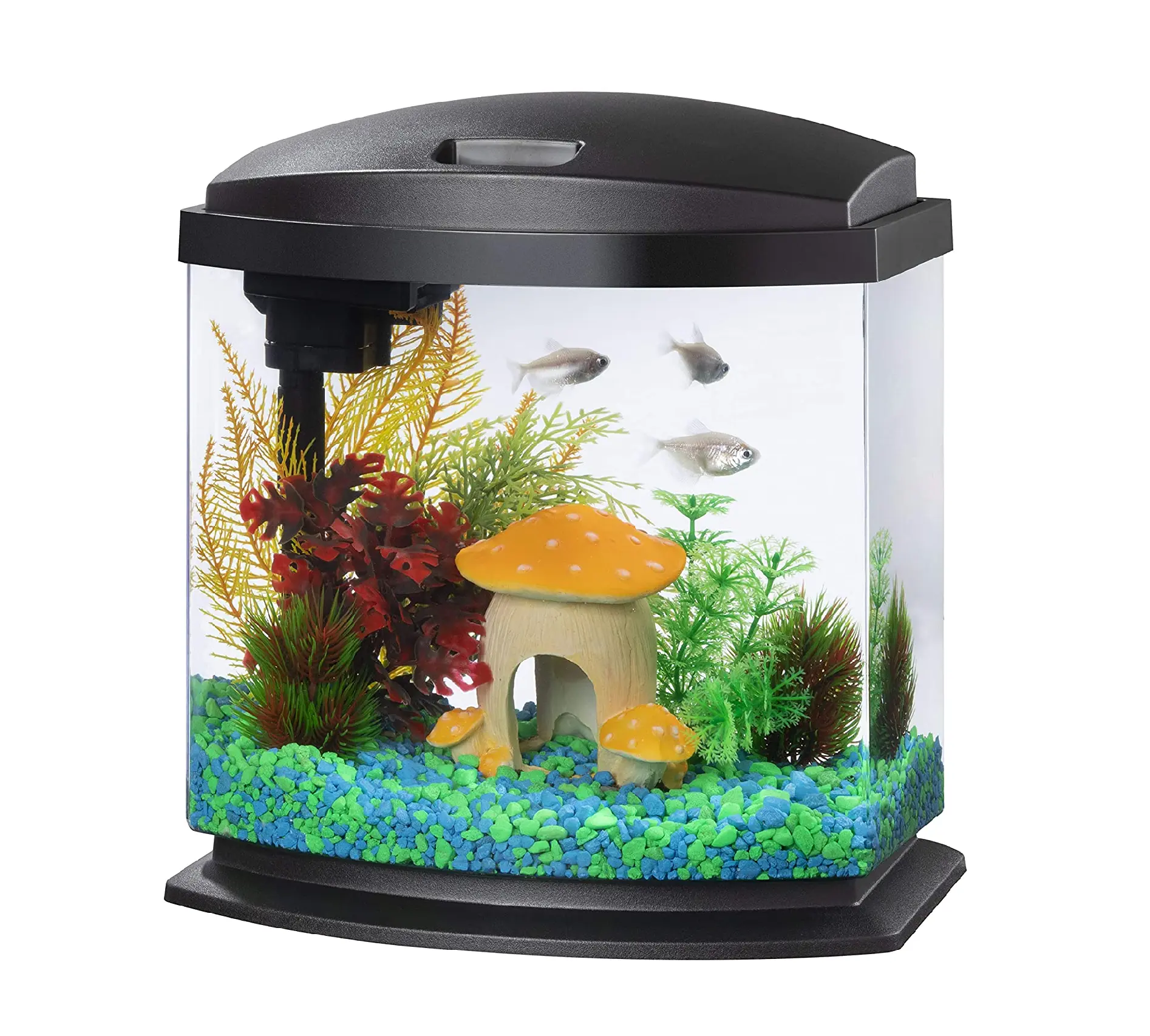Petco Tank Sale Fish Tank 25 1