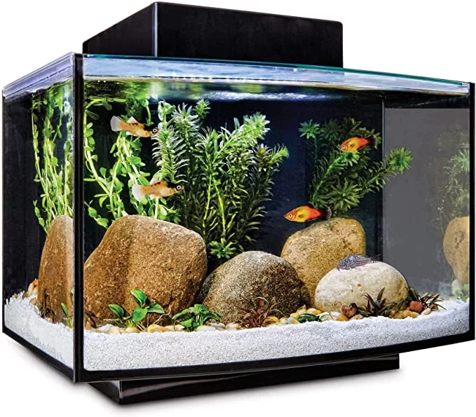 Taking Full Advantage of Petco Tank Sale December 2023