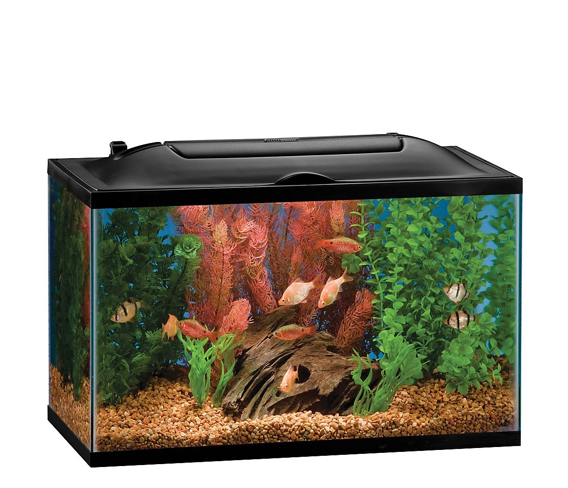 Marineland® 10 Gallon BioWheel LED Aquarium Kit
fishyfishpet