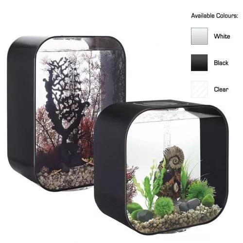 biorb-life-30-fishyfishpet- an aquarium with transparent front and back and black sides