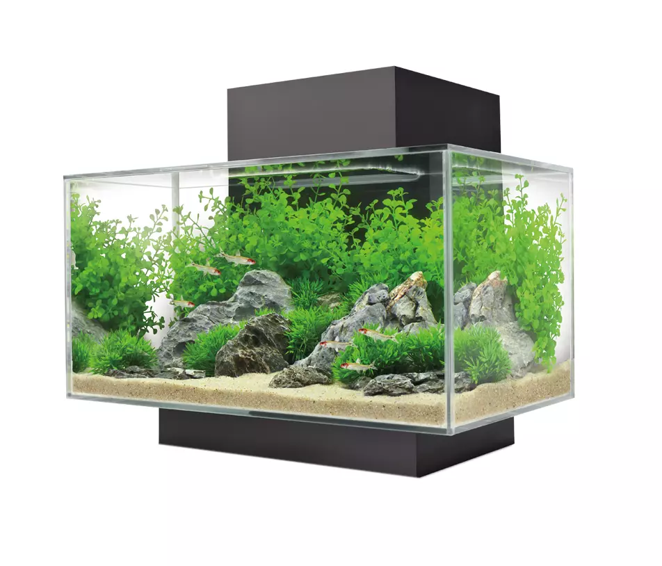 Best Aquarium Tanks ezgif.com gif maker 2023 01 10T130517.168