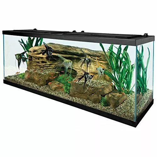 Best Aquarium Tanks ezgif.com gif maker 2023 01 10T133214.692