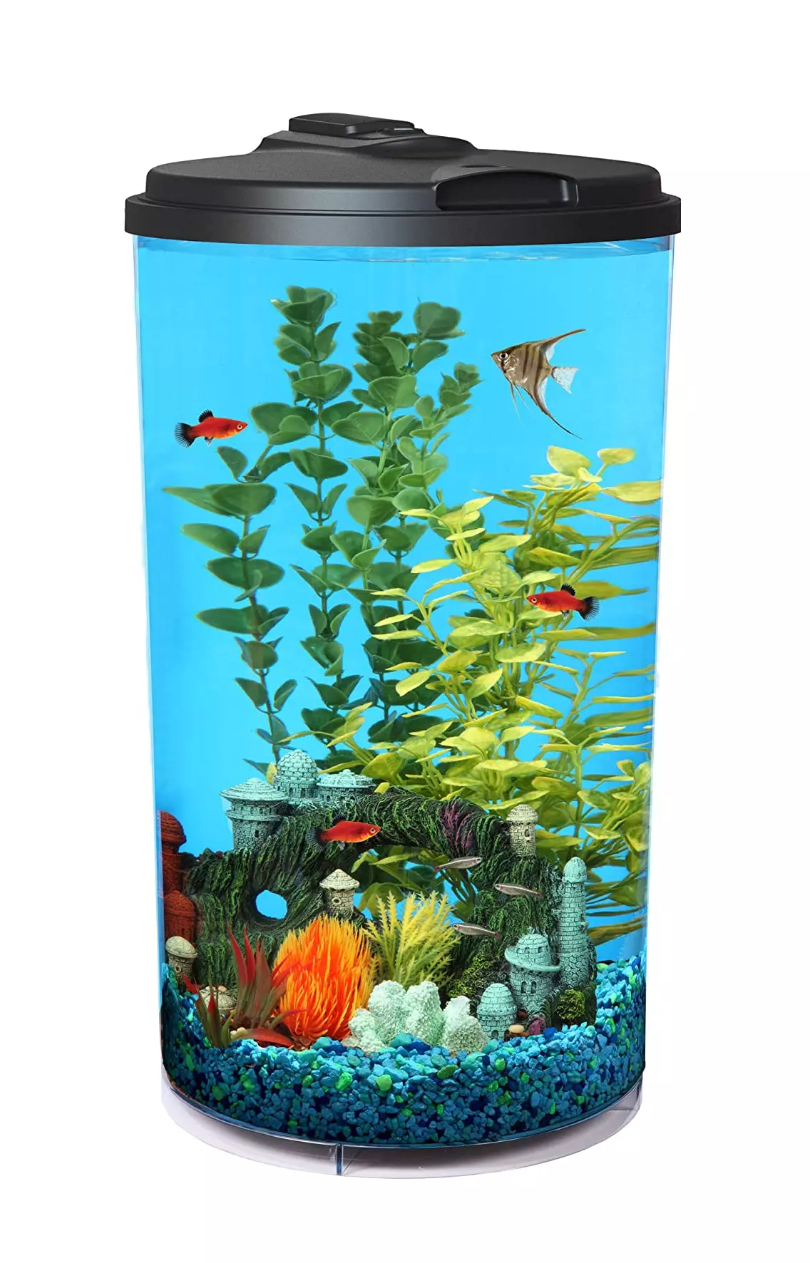Aqua Culture 6-Gallon Aquarium Starter Kit