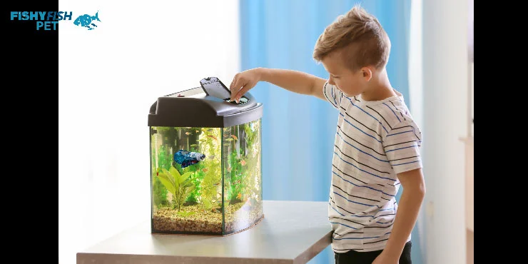 Do Betta Fish Get Excited to See You?