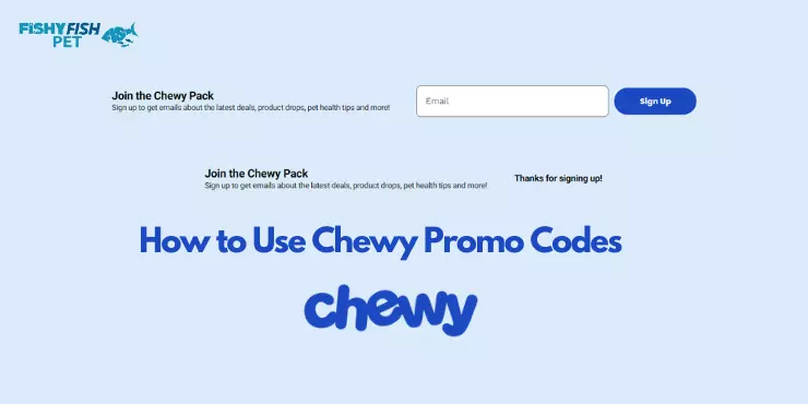 Chewy Newsletter & Join the Chewy Pack FishyFish Pet