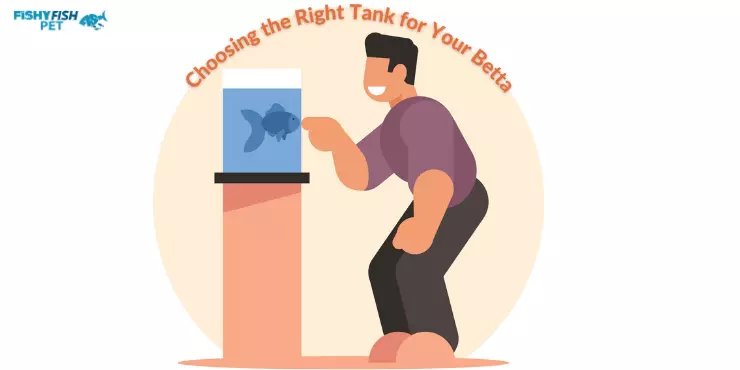 Choosing-the-Right-Tank-for-Your-Betta