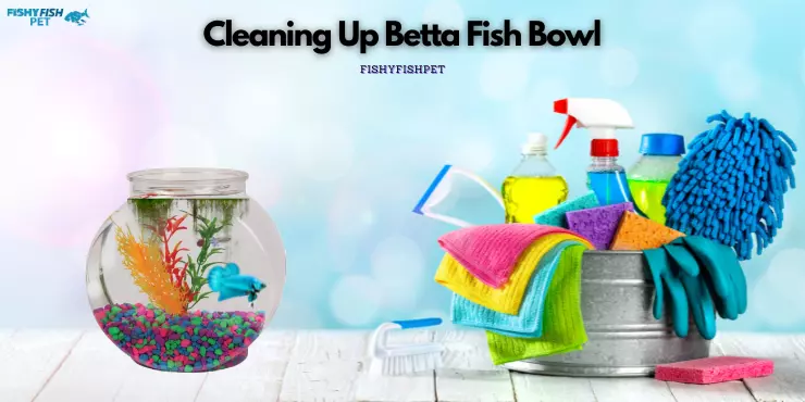 Cleaning Up Betta Fish Bowl