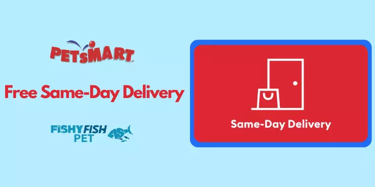 Free Same-Day Delivery FishyFish Pet