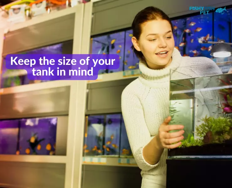 Keep the size of your tank in mind