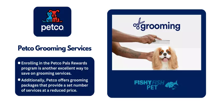 Petco Grooming Services FishyFish Pet