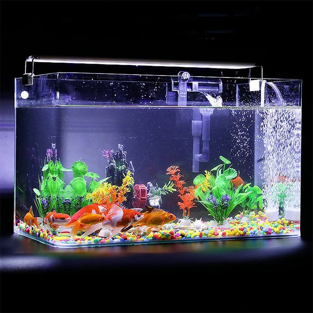 Rimless Desktop Aquarium