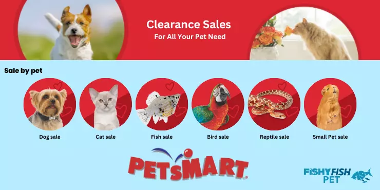 Wait for the Clearance Sales FishyFish Pet