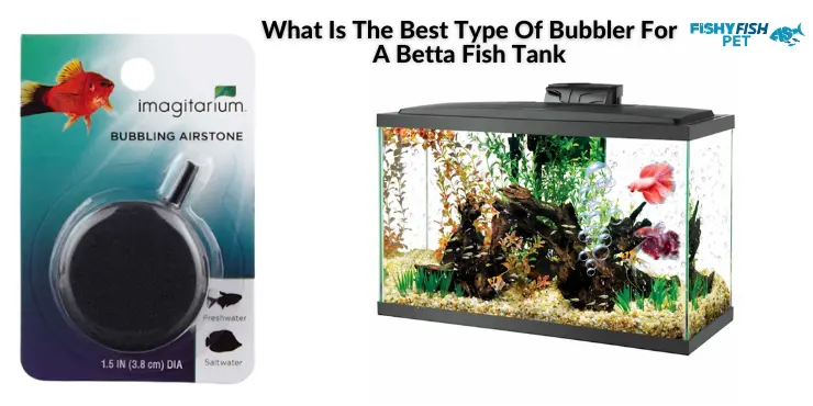 What Is The Best Type Of Bubbler For A Betta Fish Tank
