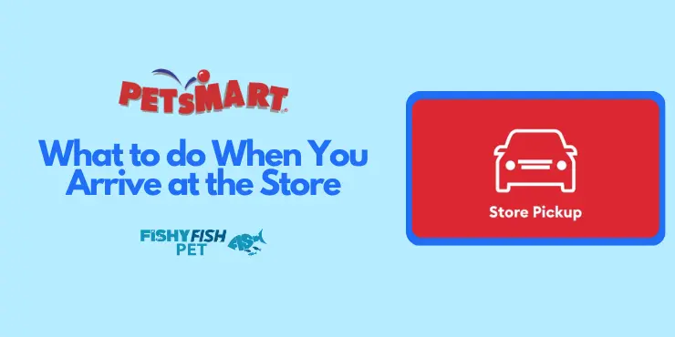 What to do When You Arrive at the Store FishyFish Pet