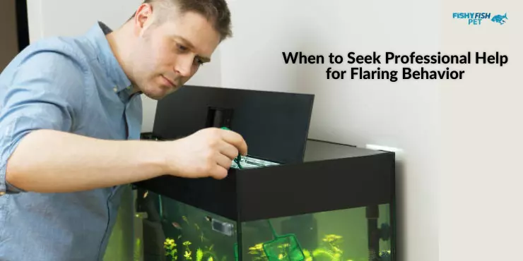 When to Seek Professional Help for Flaring Behavior