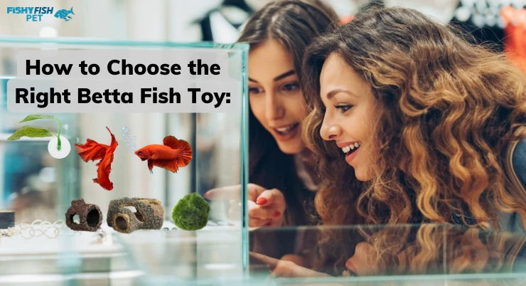 How to Choose the Right Betta Fish Toy: