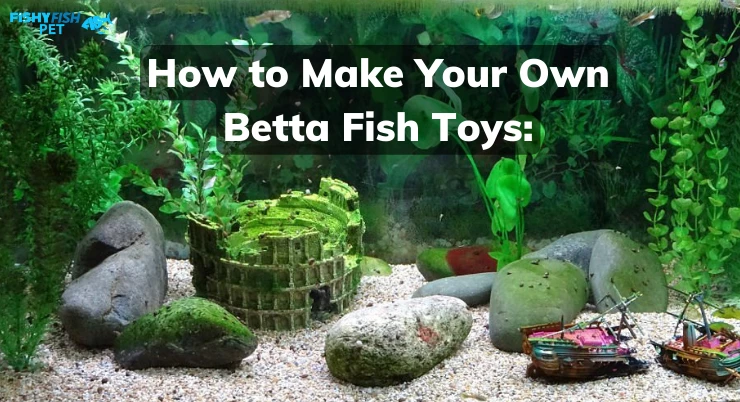 How to Make Your Own Betta Fish Toys: