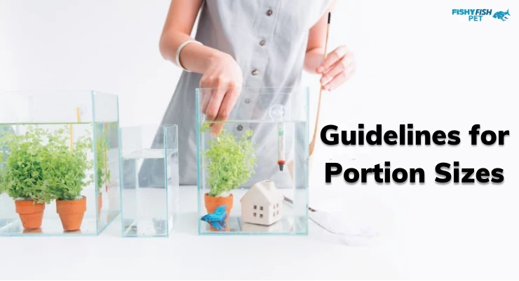 Guidelines for Portion Sizes