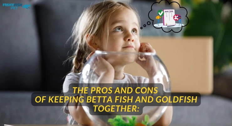 The Pros and Cons of Keeping Betta Fish and Goldfish Together: