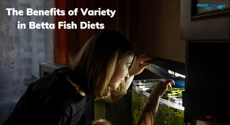 The Benefits of Variety in Betta Fish Diets