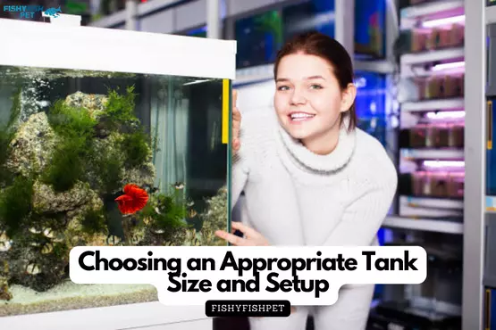 Choosing an Appropriate Tank Size and Setup