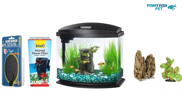 Choosing the Right Aquarium for Your Betta Fish