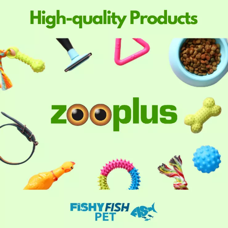 High-quality Products FishyFish Pet