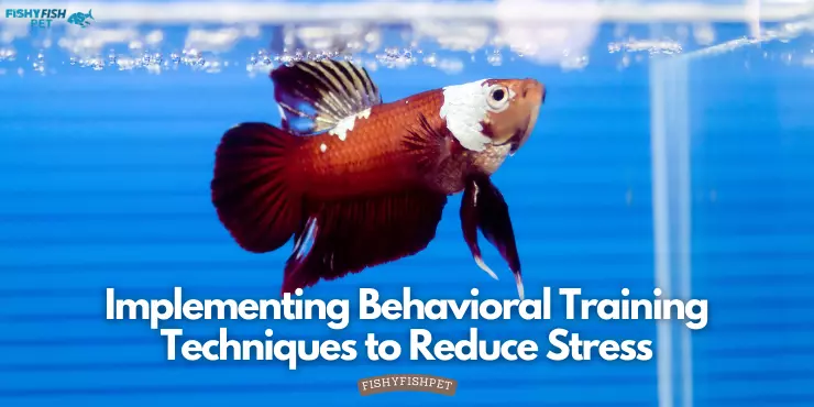 Implementing Behavioral Training Techniques to Reduce Stress