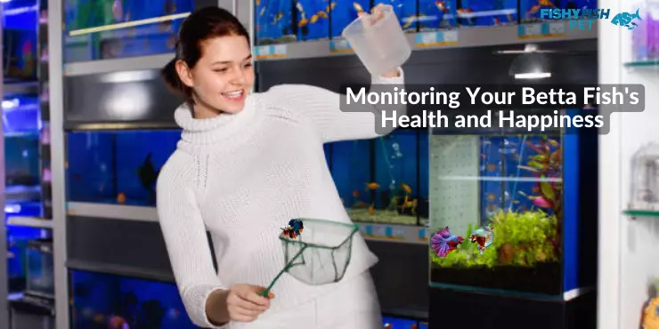 Monitoring Your Betta Fish's Health and Happiness
