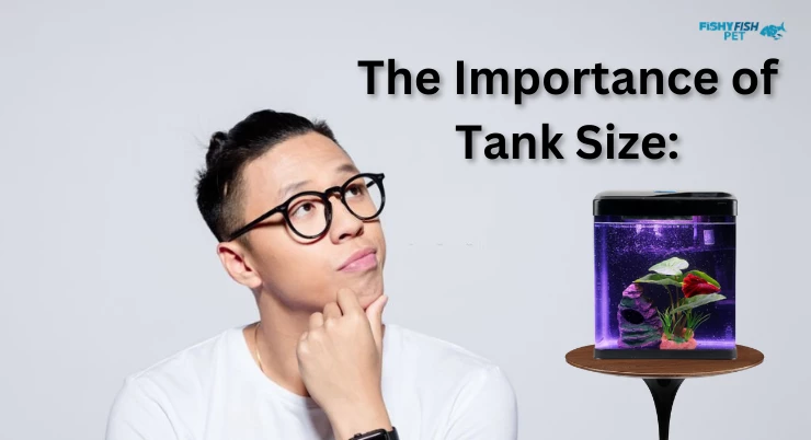 The Importance of Tank Size