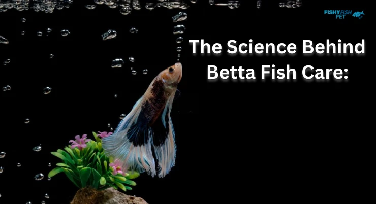The Science Behind Betta Fish Care