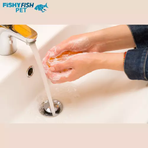 Wash Your Hand With Soap and Water