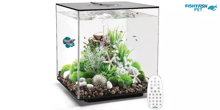 Cube Fish Tank