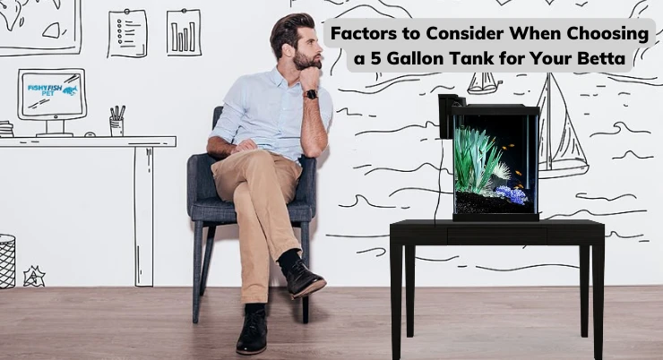 Factors to Consider When Choosing a 5 Gallon Tank for Your Betta