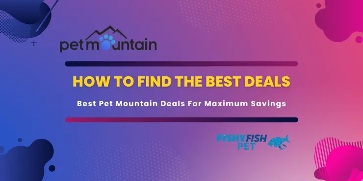 How to Find the Best Deals FishyFish Pet