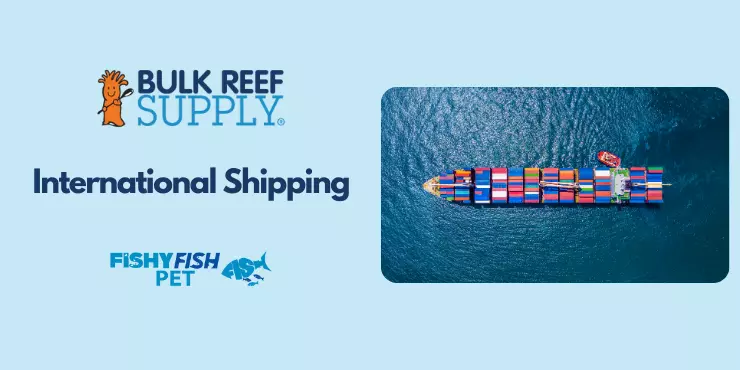 International Shipping FishyFish Pet