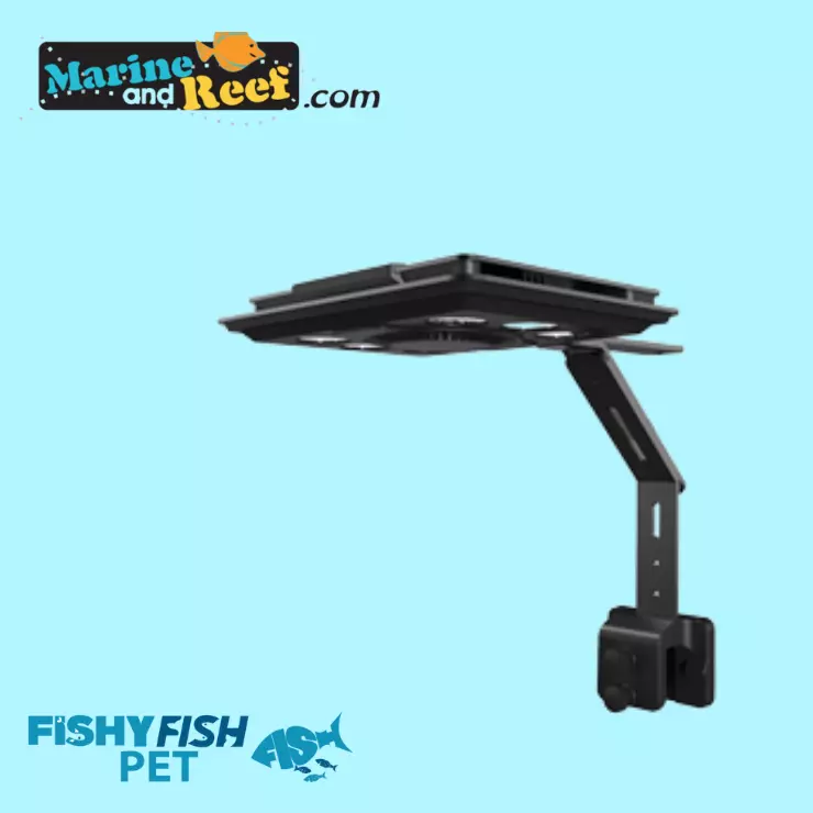 Lighting FishyFish Pet