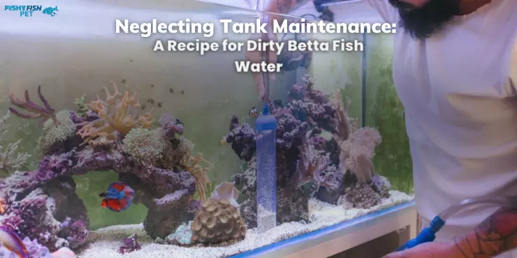 Neglecting Tank Maintenance - A Recipe for Dirty Betta Fish Water