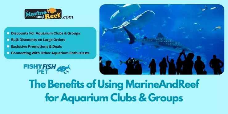The Benefits of Using MarineAndReef for Aquarium Clubs & Groups FishyFish Pet