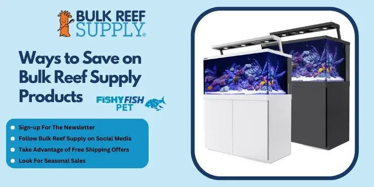 Ways to Save on Bulk Reef Supply Products FishyFish Pet