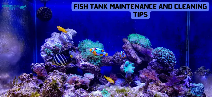 A clean fish tank with various fish - Make Your Fish Tank Sparkle! Expert Tips for Maintenance and Cleaning FishyFish Pet Fish tank maintenance and cleaning tips