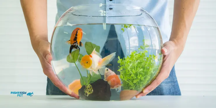 man holding fish tank - fish care tips for beginners - fishyfishpet