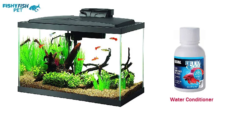 how to clean a betta fish tank What You Need to Know Before Cleaning Your Betta Fish Tank