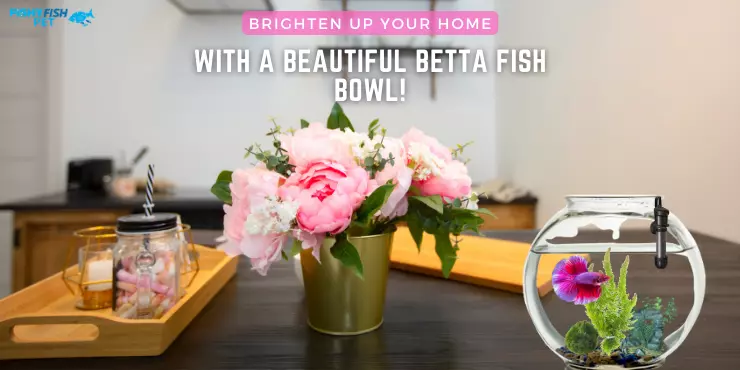 Fish Bowl on Table with Flowers in Home - Brighten Up Your Home with a Beautiful Betta Fish Bowl