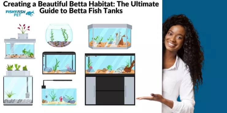 Creating a Beautiful Betta Habitat: The Ultimate Guide to Betta Fish Tanks