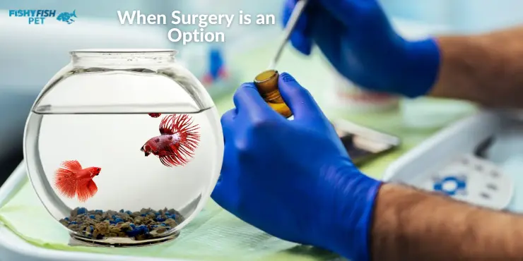 Betta Fish Tumor When Surgery is an Option