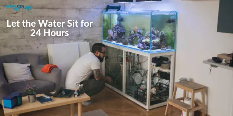 how to treat tap water for betta fish Let the Water Sit for 24 Hours