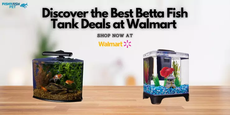 betta fish tank walmart Discover the Best Betta Fish Tank Deals at Walmart – Shop Now 1