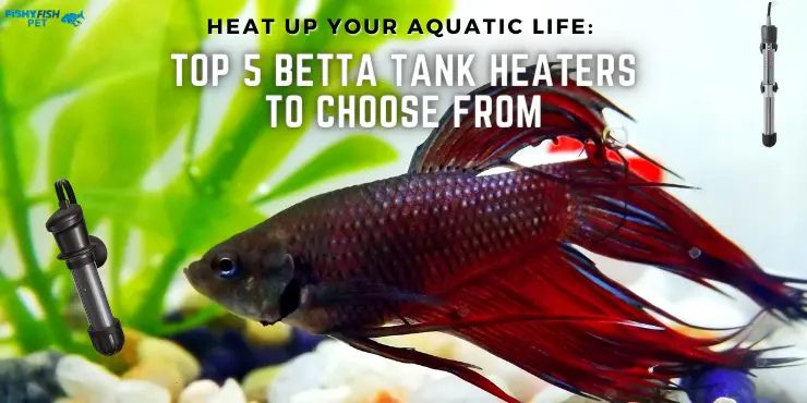 Heat Up Your Aquatic Life - Top 5 Betta Tank Heaters to Choose From